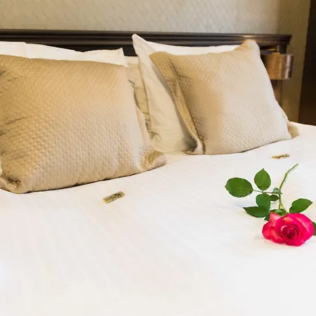 Good Seasons Den Bosch Hotel 's-Hertogenbosch (Den Bosch)
