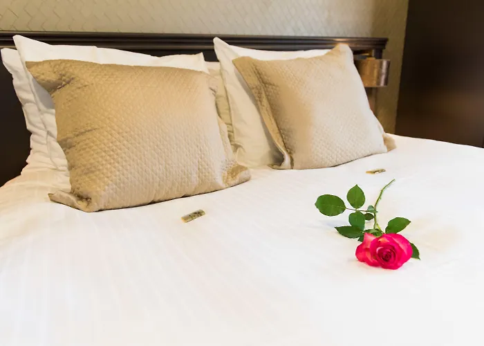 Good Seasons Den Bosch 酒店 登博斯